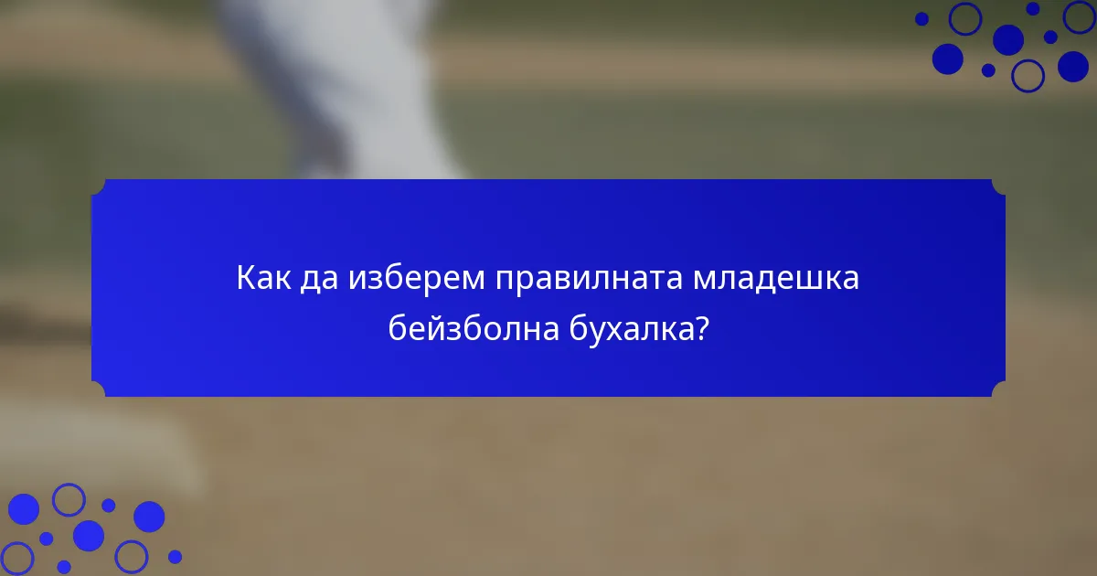Как да изберем правилната младешка бейзболна бухалка?