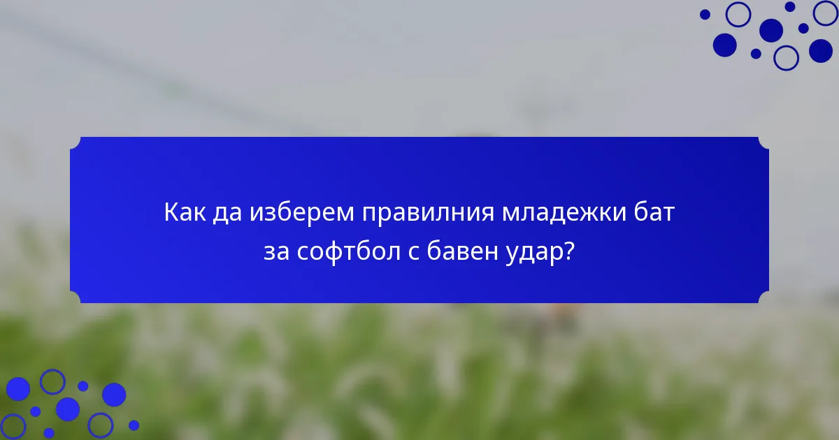 Как да изберем правилния младежки бат за софтбол с бавен удар?