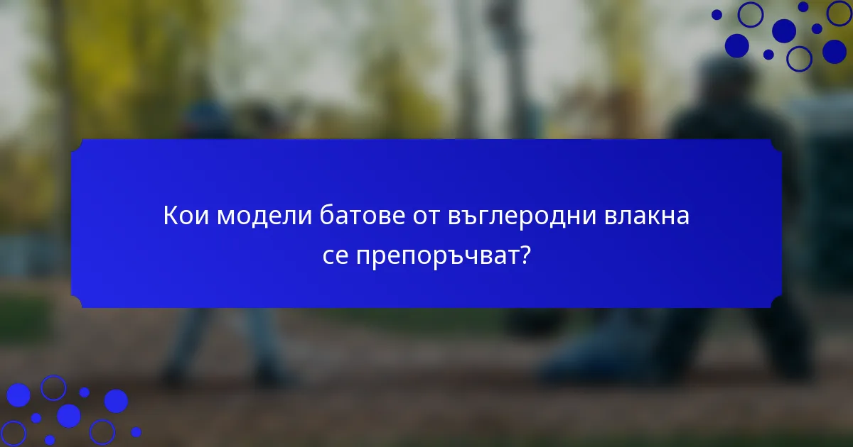 Кои модели батове от въглеродни влакна се препоръчват?
